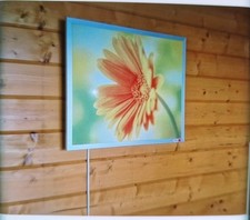 REDWELL Infrarot Bildheizung