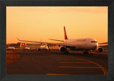 Turkish Airlines Flotte bei