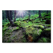 Postereck 3033 Poster Leinwand