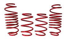 Tieferlegungsfedern für