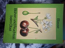 Blühen und fruchten beim Obst