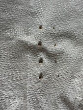 Breitling Aerospace Reiter