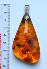 Großer Fischland Bernstein