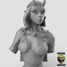 3D-Druckfigur 9th Age, D&D