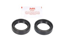 2x Stoßdämpfer ARI.003T