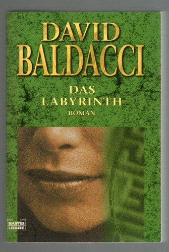 Das labyrinth taschenbuch - labyrinth,