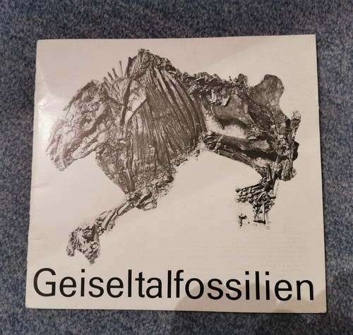 Geiseltalfossilien museum - geiseltalfossilien,