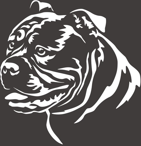 Old english bulldog aufkleber - old,