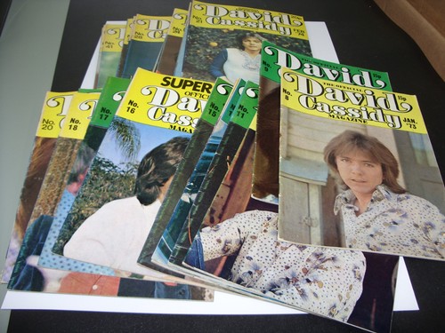 The david cassidy - david,