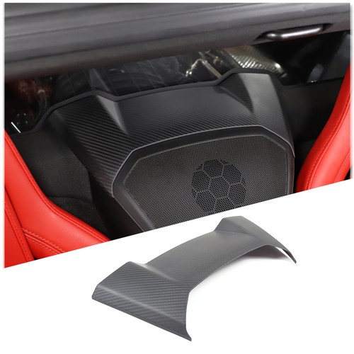 Carbon fiber rear speaker - rear, top