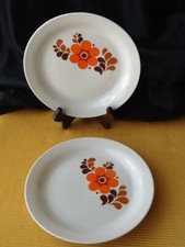 70´ CP Colditz Porzellan 2 x Dessertteller  Ø  19 cm Orange Blumen Vintage