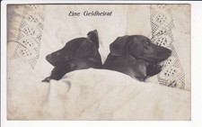 FOTOKARTE , DACKEL , TECKEL , DACHSHUND , " EINE GELDHEIRAT " , ca1910