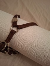 Trixi hunde katze - trixi,