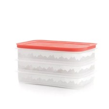 Tupperware Freeze‘N Fresh