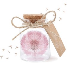 Wunscherfüller Pusteblume im