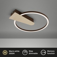 Deckenleuchte Briloner Nico