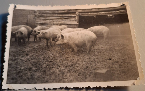 Altes foto vintage ddr - foto,