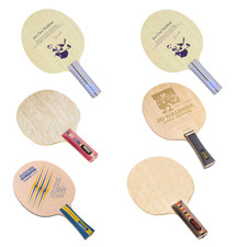 Donic Waldner  Allplay  Dicon