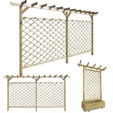 Pergola Kiefernholz Rankgitter