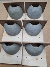 6  Mehlschwalben Nester