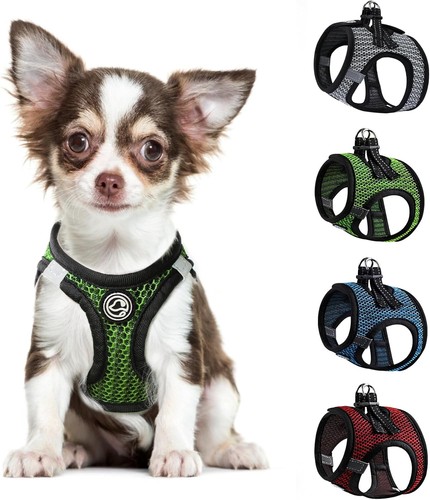 Welpengeschirr hundegeschirr - welpengeschirr,,