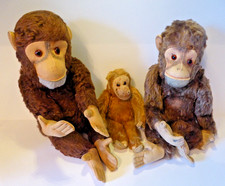 Kleine Affenfamilie Affen