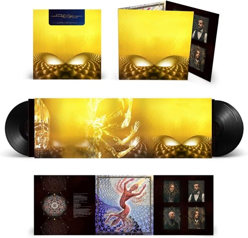 Tool fear inoculum vinyl - tool,