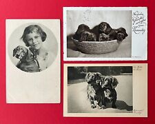 3 x Künstler AK 1922/36 Dackel mit Kind, Welpen, Langhaar Dackel    ( 141623