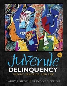 Juvenile delinquency theory - juvenile,
