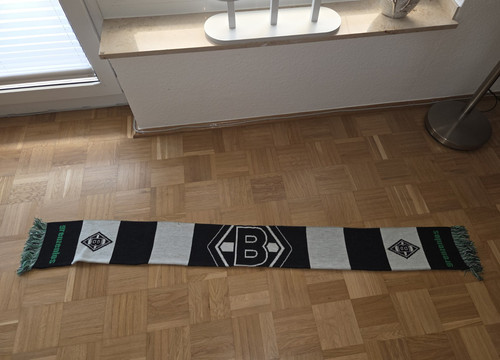 Borussia mönchengladbach - borussia,
