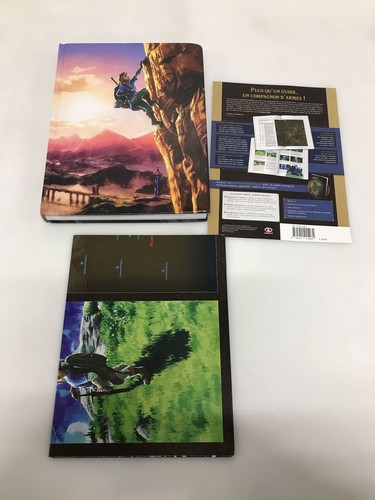 Zelda botw climbing poster - -,