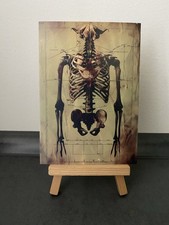 Postkarte Motivkarte, menschliches Oberkörperskelett, Anatomie, Kunst