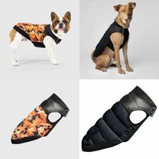 Canada Pooch Summit Stretch