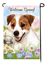 Jack Russell Terrier Welcome
