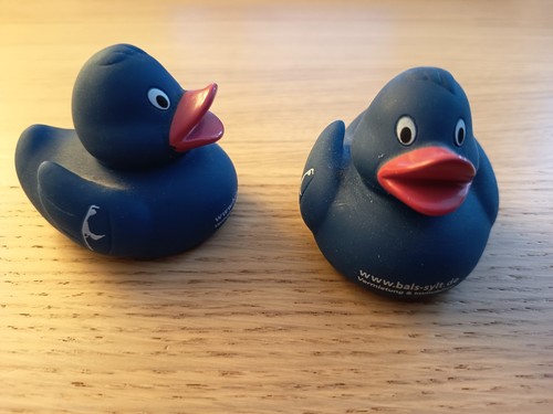 Sylt schnabels badeente - sylt,