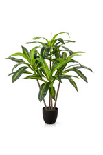 PASCH® Dracaena Kunstpalme