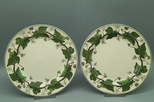 Wedgwood of Etruria & Barlaston Napoleon Ivy 2 Kuchenteller 20,5 cm Teller