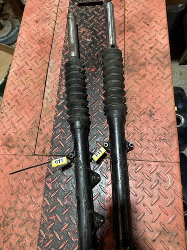 Etz 250 251 - 251, 301