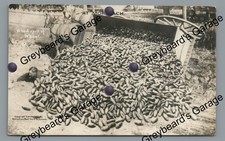 RPPC Rare Bad Spill of Wheat