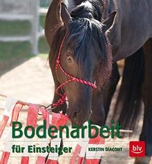 Bodenarbeit für einsteiger - bodenarbeit,