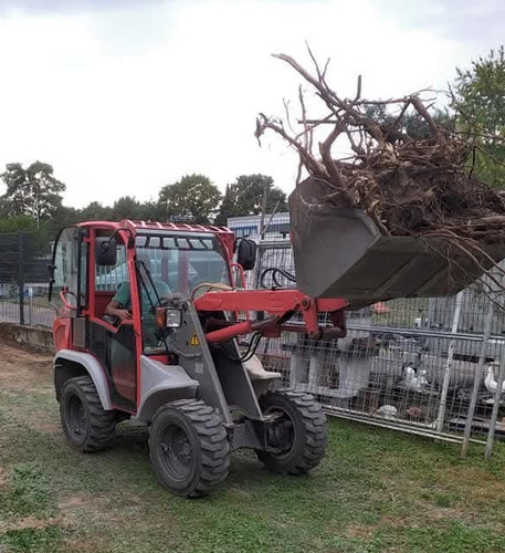 Gehwegplatten aus beton stein - gehwegplatten, beton/stein