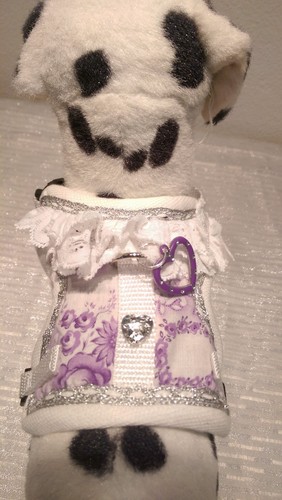 Softgeschirr hundegeschirr - softgeschirr,
