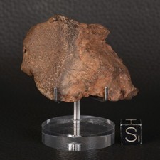 Meteoriten Gebel Kamil 116,65 G Siderit Unsortiert Ägypten Eisen Ung.