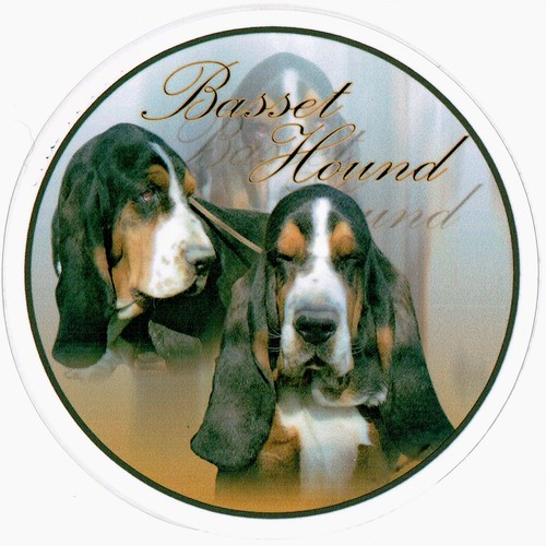 Aufkleber motiv basset - ,