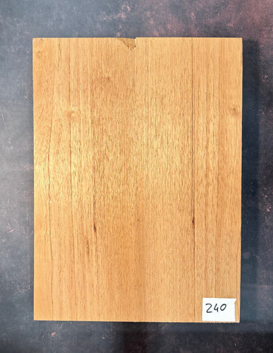 Cedro gitarrenkorpus - |,