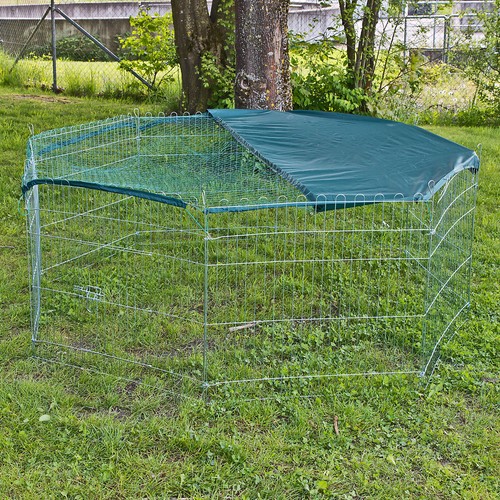 Freilaufgehege hasen kaninchen - freilaufgehege,