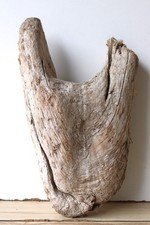 Treibholz Schwemmholz