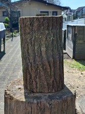 Hauklotz EICHE Natur Höhe ca