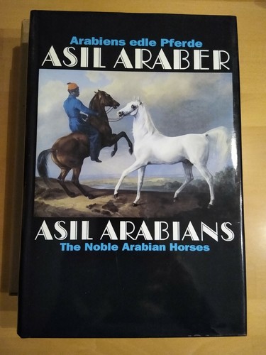 Asil araber - araber, /
