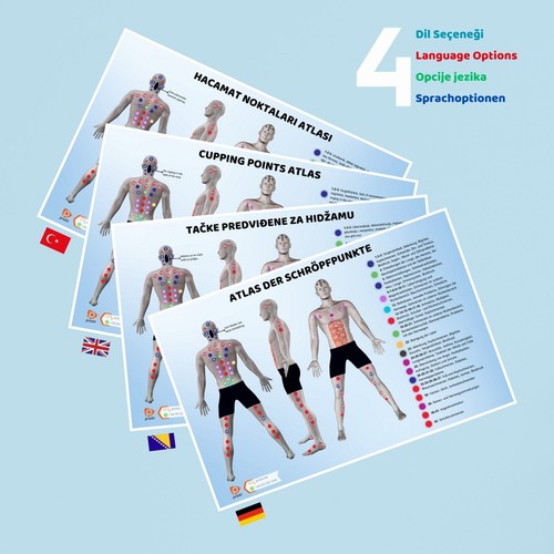 Atlas der schröpfpunkte - atlas,